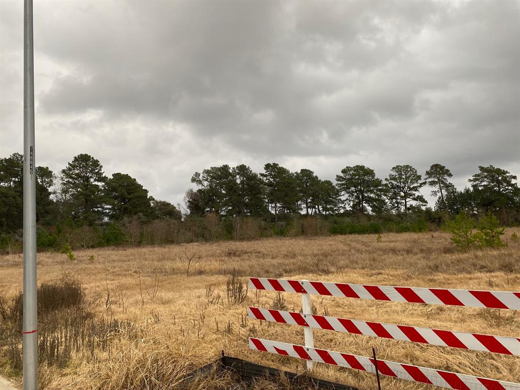 0000 Fm-2920, Tomball, Texas image 8