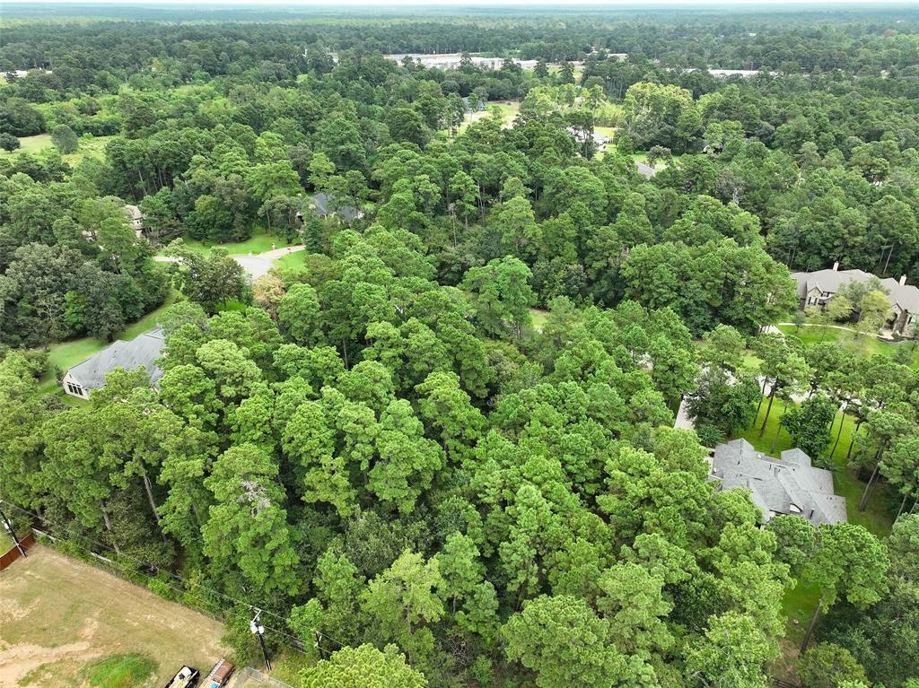 28918 Village Trail Court, Magnolia, Texas image 9