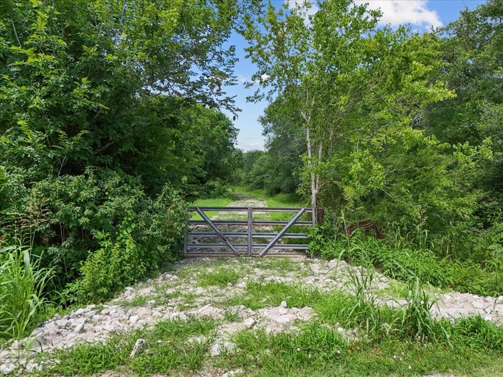 5239 Patterson Road