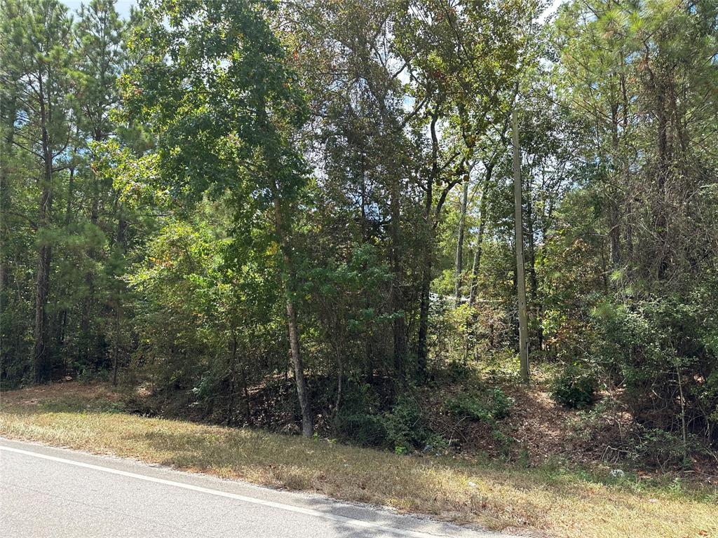 4723 Oak Knoll Lane, Montgomery, Texas image 6