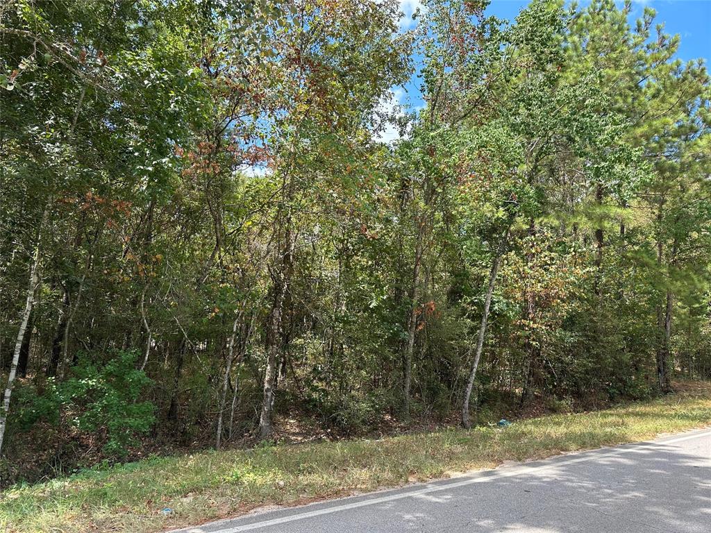 4723 Oak Knoll Lane, Montgomery, Texas image 4
