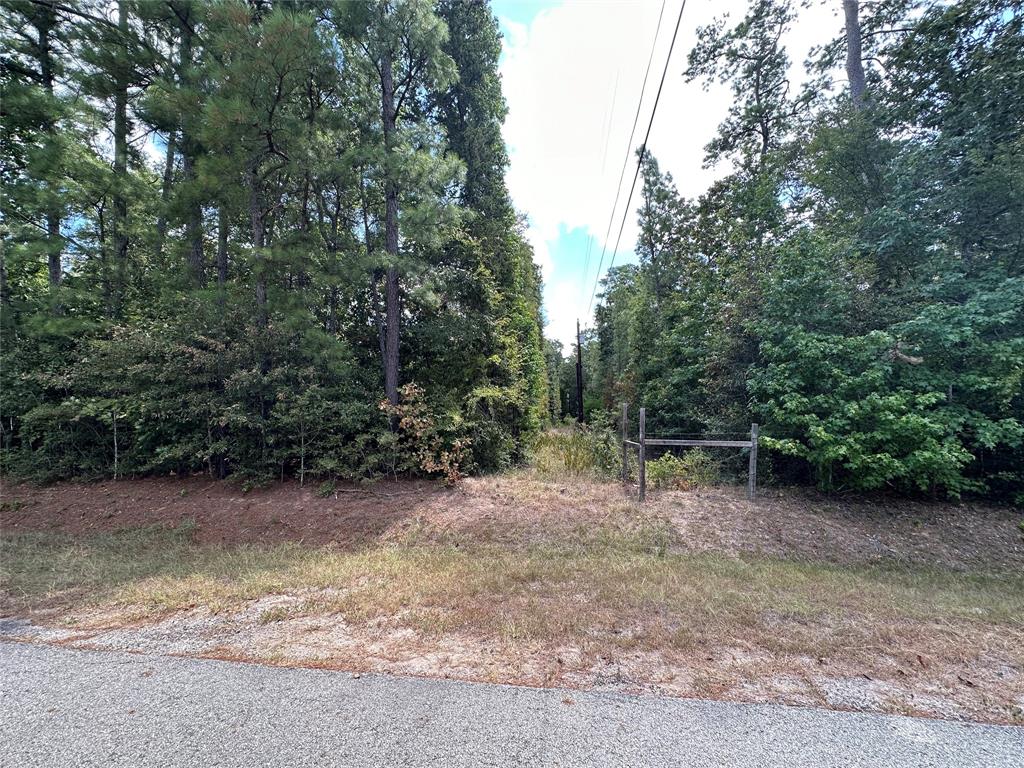 4723 Oak Knoll Lane, Montgomery, Texas image 22
