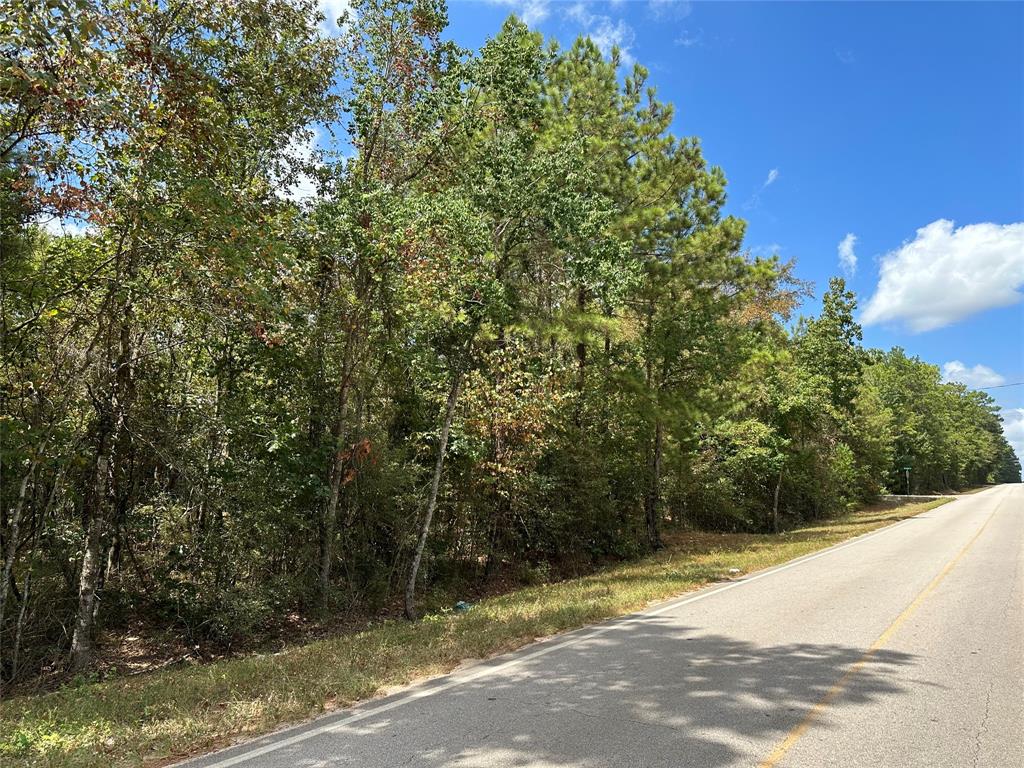 4723 Oak Knoll Lane, Montgomery, Texas image 3