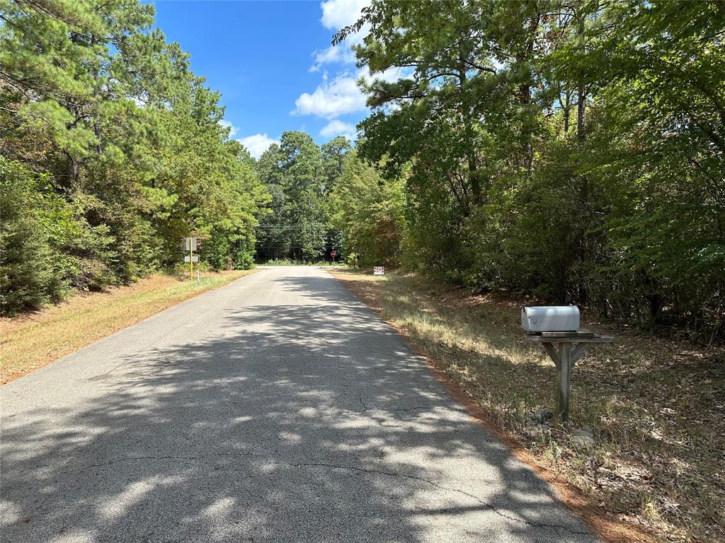 4723 Oak Knoll Lane, Montgomery, Texas image 19