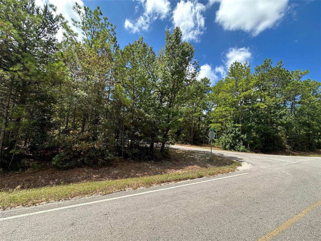 4723 Oak Knoll Lane, Montgomery, Texas image 8
