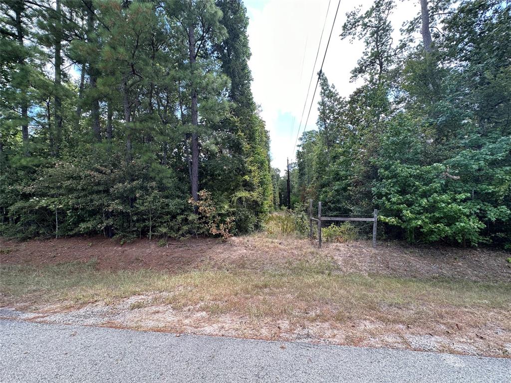 4723 Oak Knoll Lane, Montgomery, Texas image 23