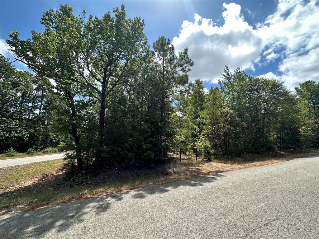 4723 Oak Knoll Lane, Montgomery, Texas image 11