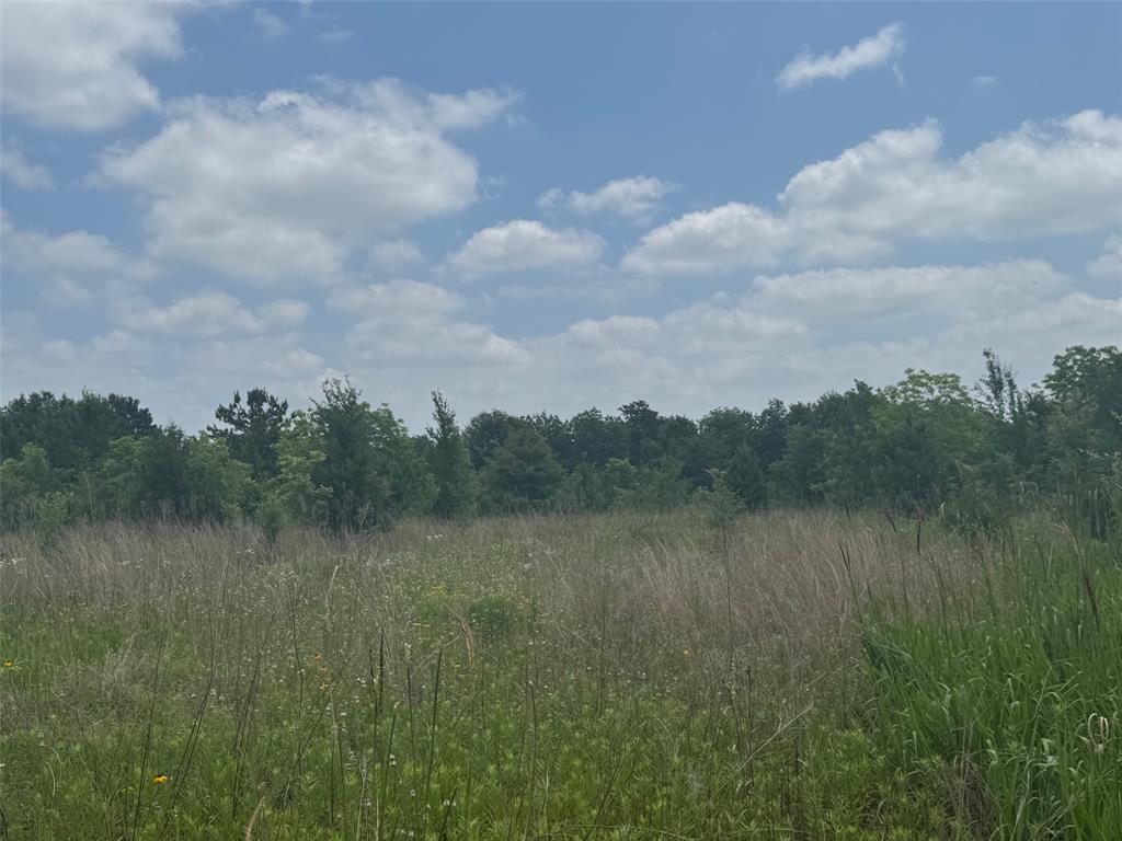 000 Buffalo Trl, Navasota, Texas image 1
