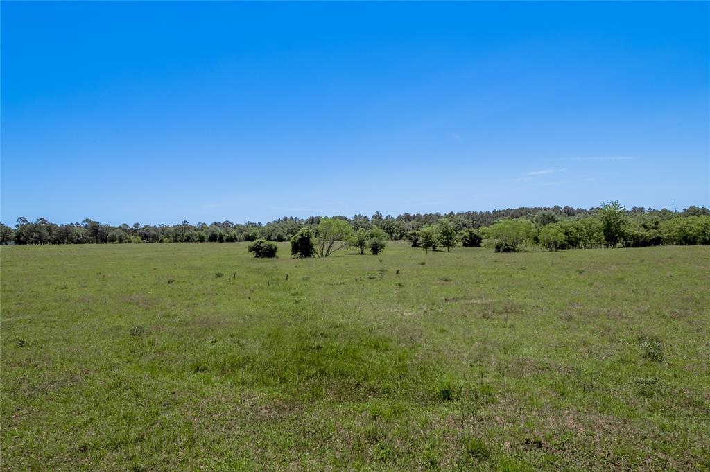 94.888 Fm 2550, Huntsville, Texas image 8
