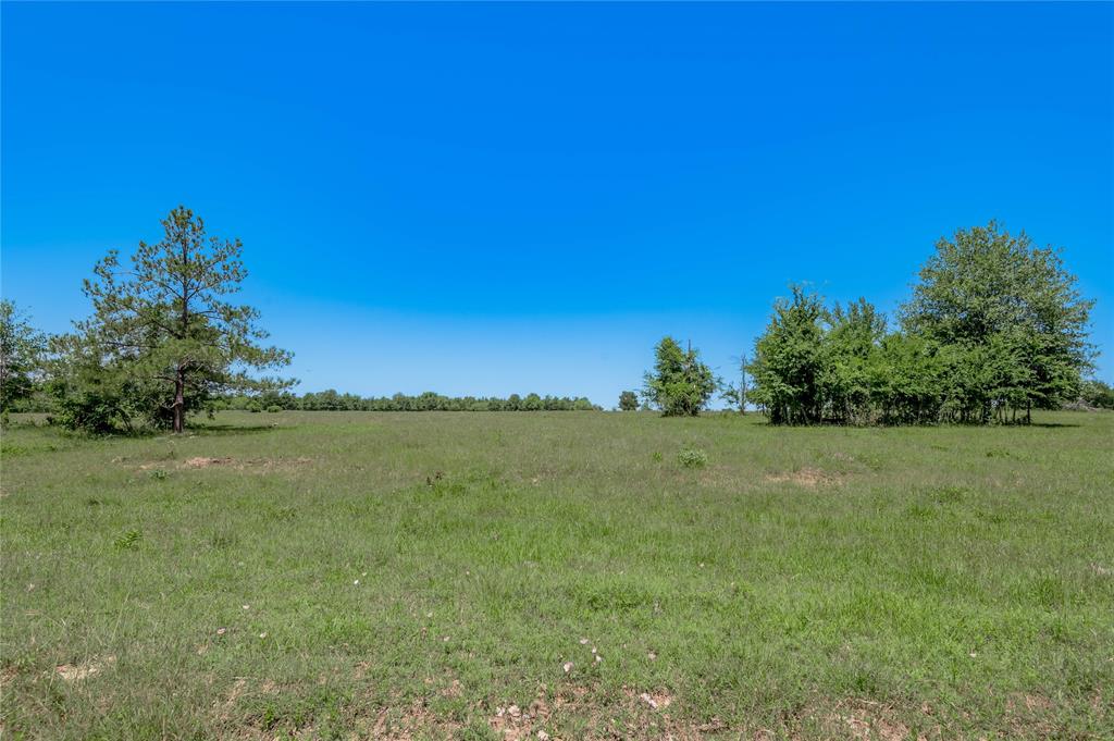 94.888 Fm 2550, Huntsville, Texas image 31