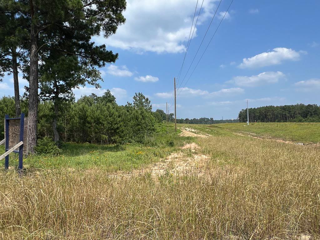 Tract 5 Sh 249, Navasota, Texas image 7