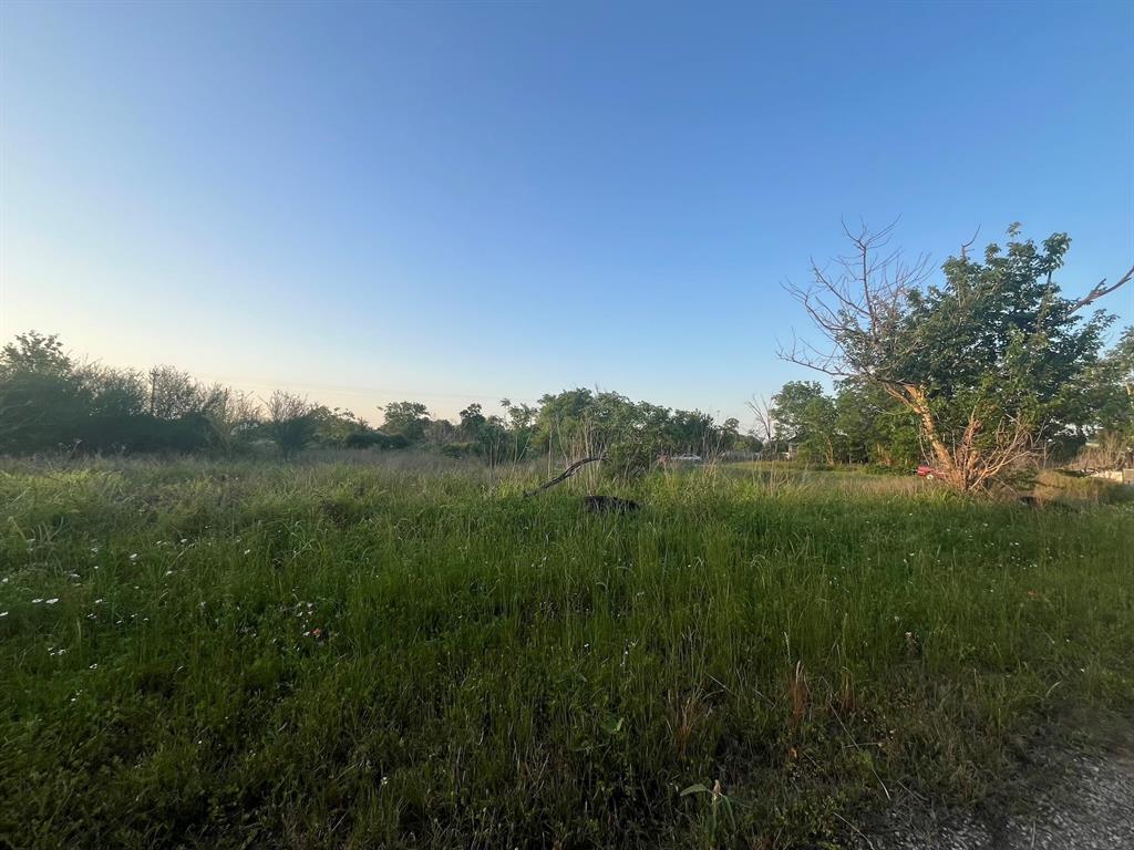 Main Street, Altair, Texas image 7