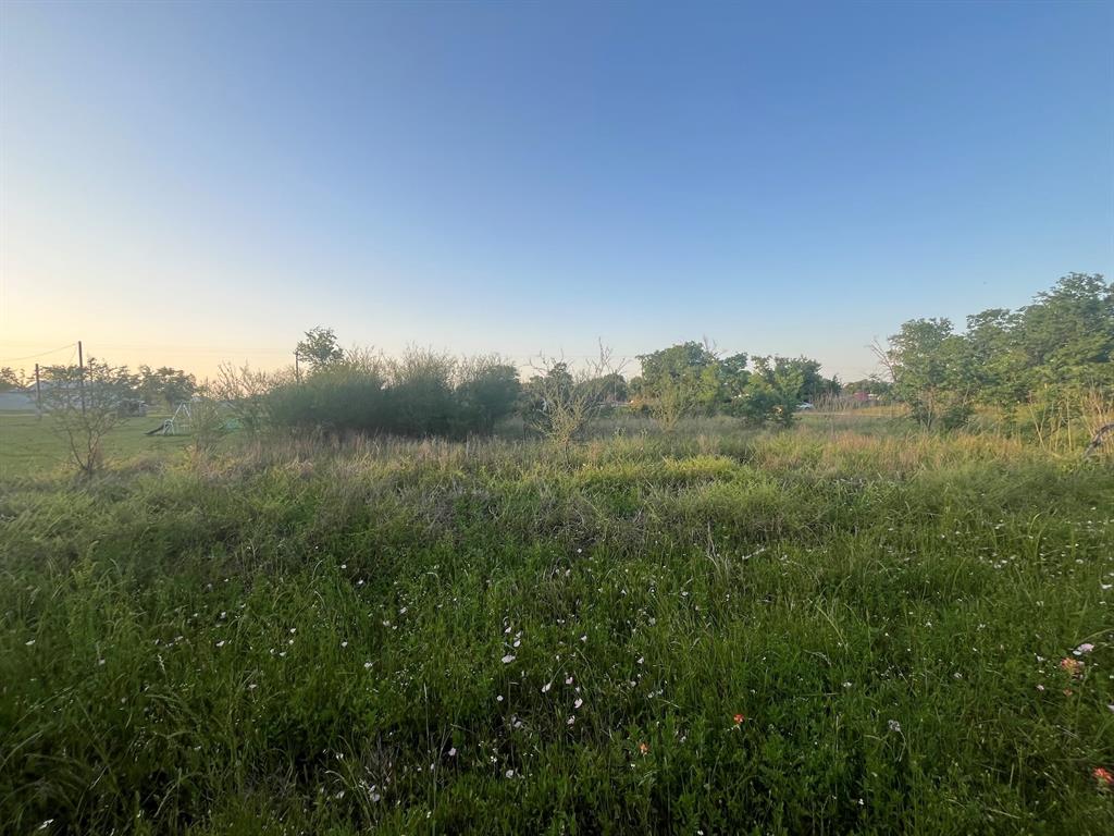 Main Street, Altair, Texas image 12
