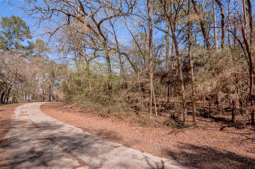 Lot 5 Spreading Oak, Trinity, Texas image 3