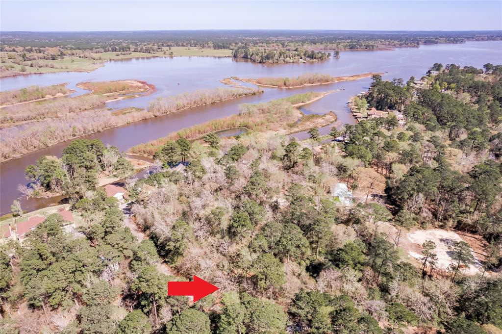 Lot 5 Spreading Oak, Trinity, Texas image 1