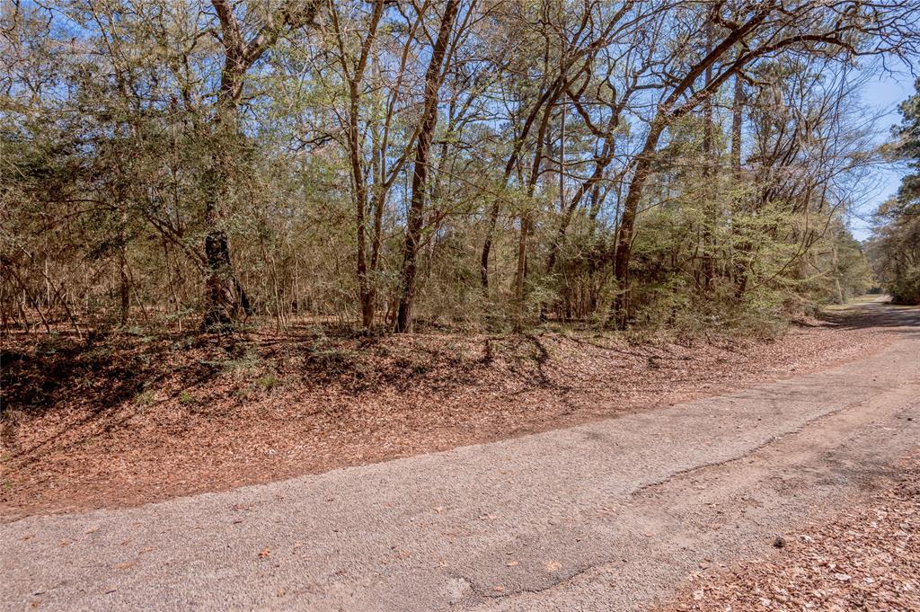 Lot 5 Spreading Oak, Trinity, Texas image 7