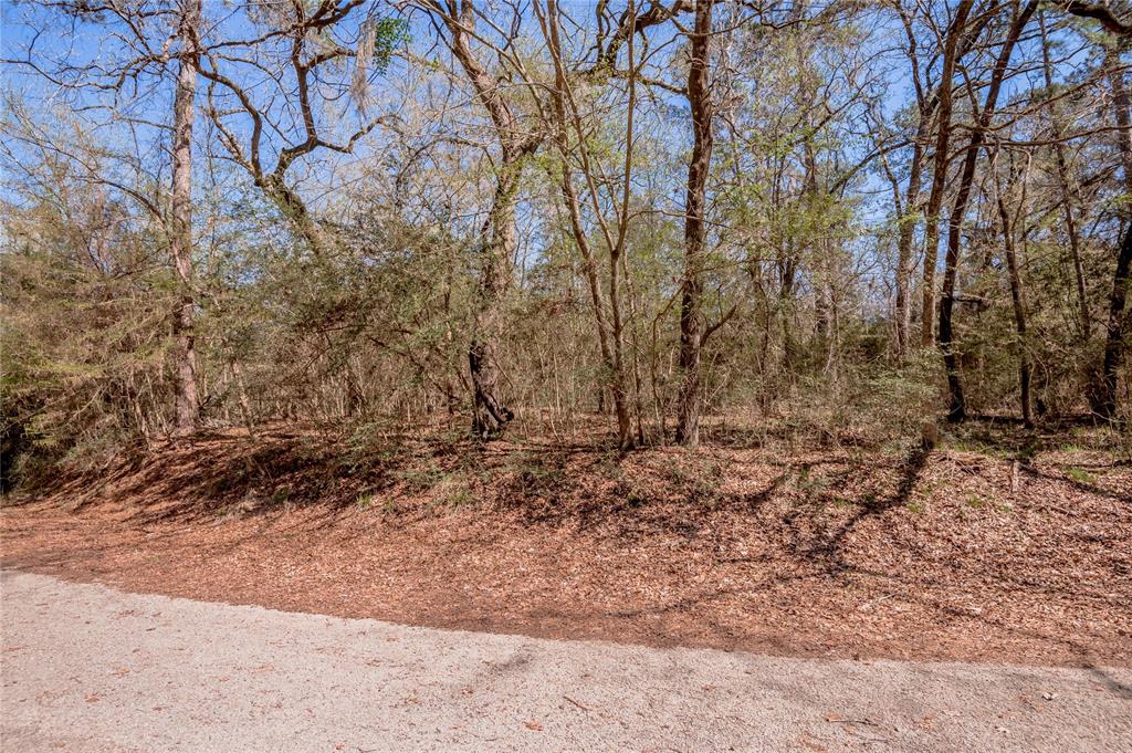 Lot 5 Spreading Oak, Trinity, Texas image 6