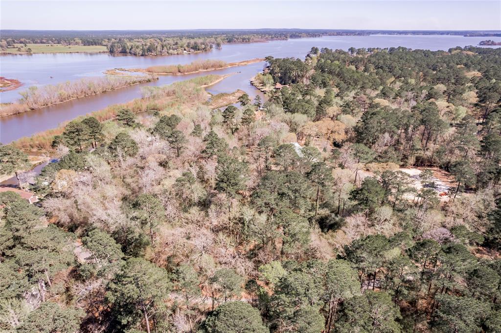 Lot 5 Spreading Oak, Trinity, Texas image 14