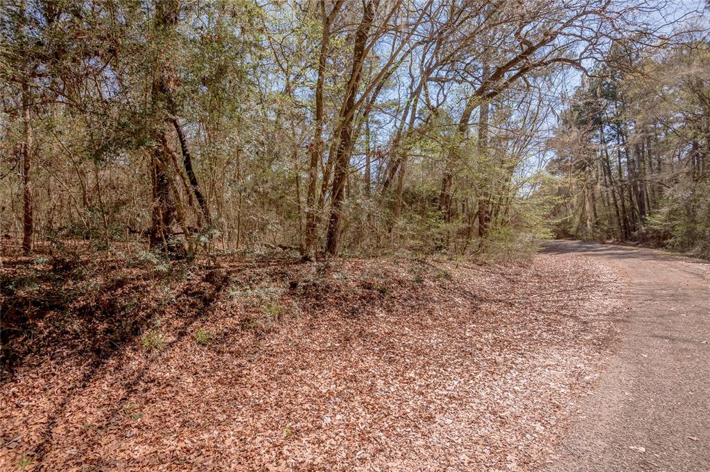 Lot 5 Spreading Oak, Trinity, Texas image 8