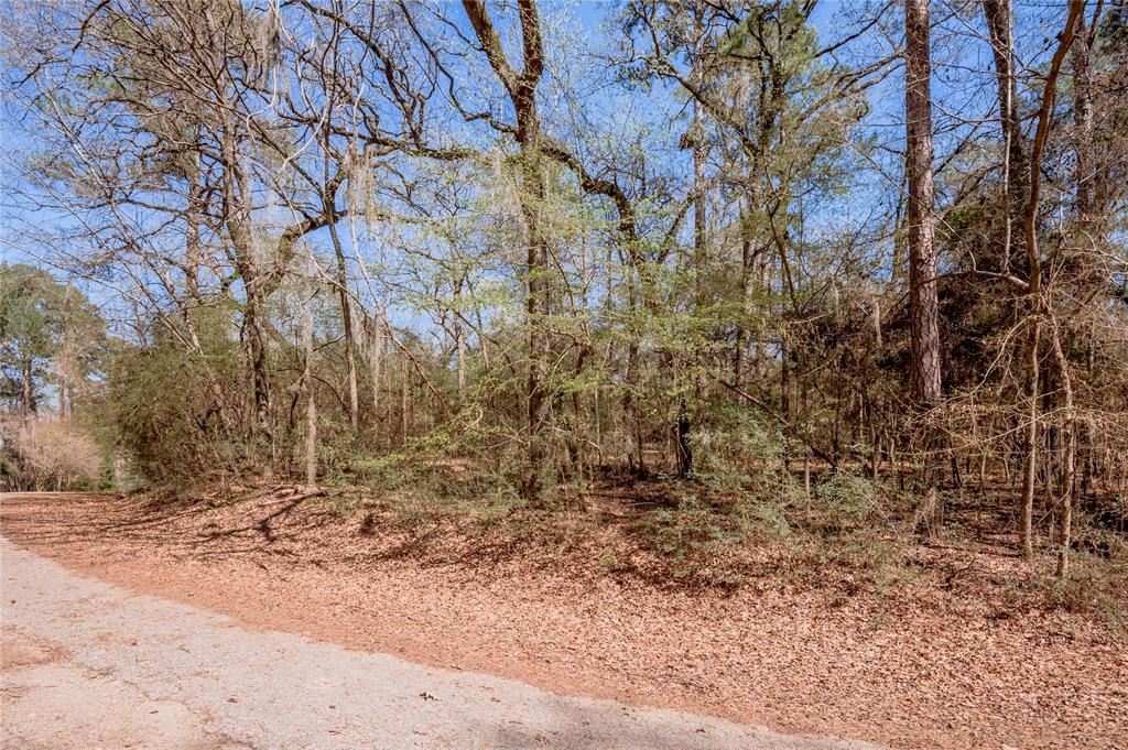 Lot 5 Spreading Oak, Trinity, Texas image 4