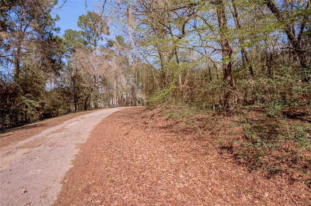 Lot 5 Spreading Oak, Trinity, Texas image 10