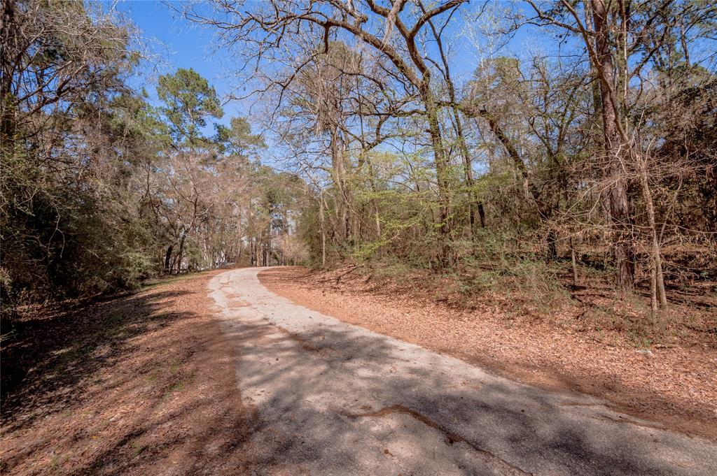 Lot 5 Spreading Oak, Trinity, Texas image 11