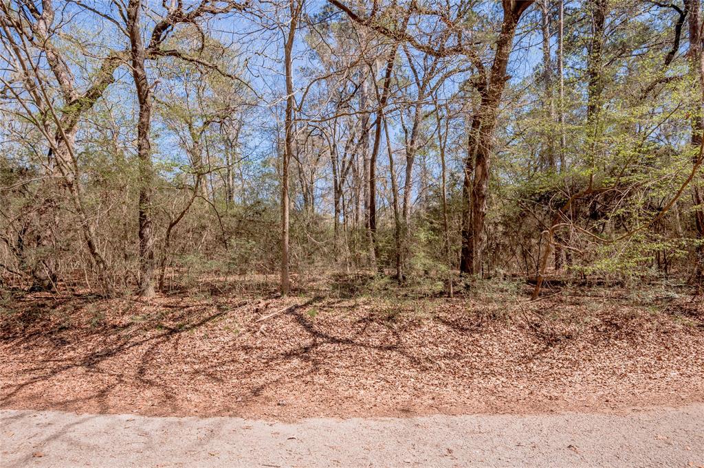 Lot 5 Spreading Oak, Trinity, Texas image 5