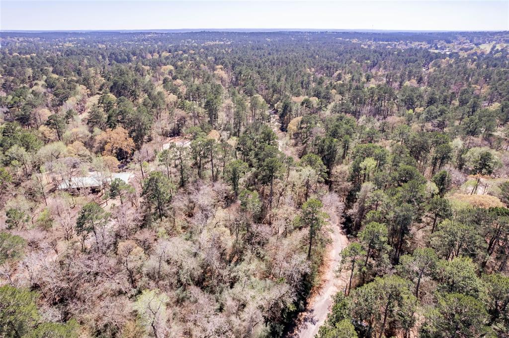 Lot 5 Spreading Oak, Trinity, Texas image 15