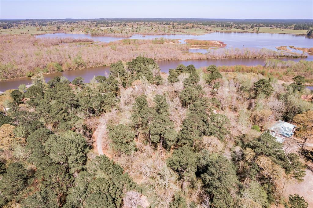 Lot 5 Spreading Oak, Trinity, Texas image 12