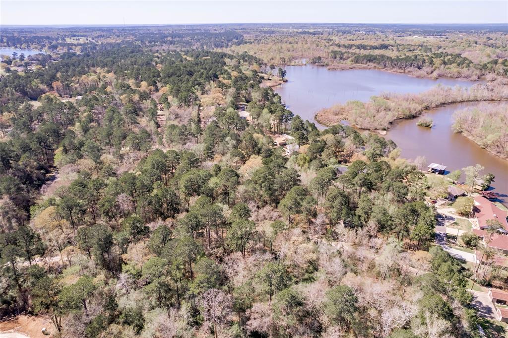 Lot 5 Spreading Oak, Trinity, Texas image 17