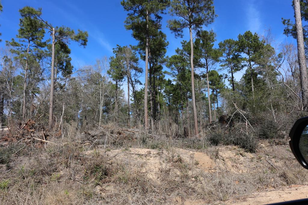 4-1 N Hwy 356, Onalaska, Texas image 15