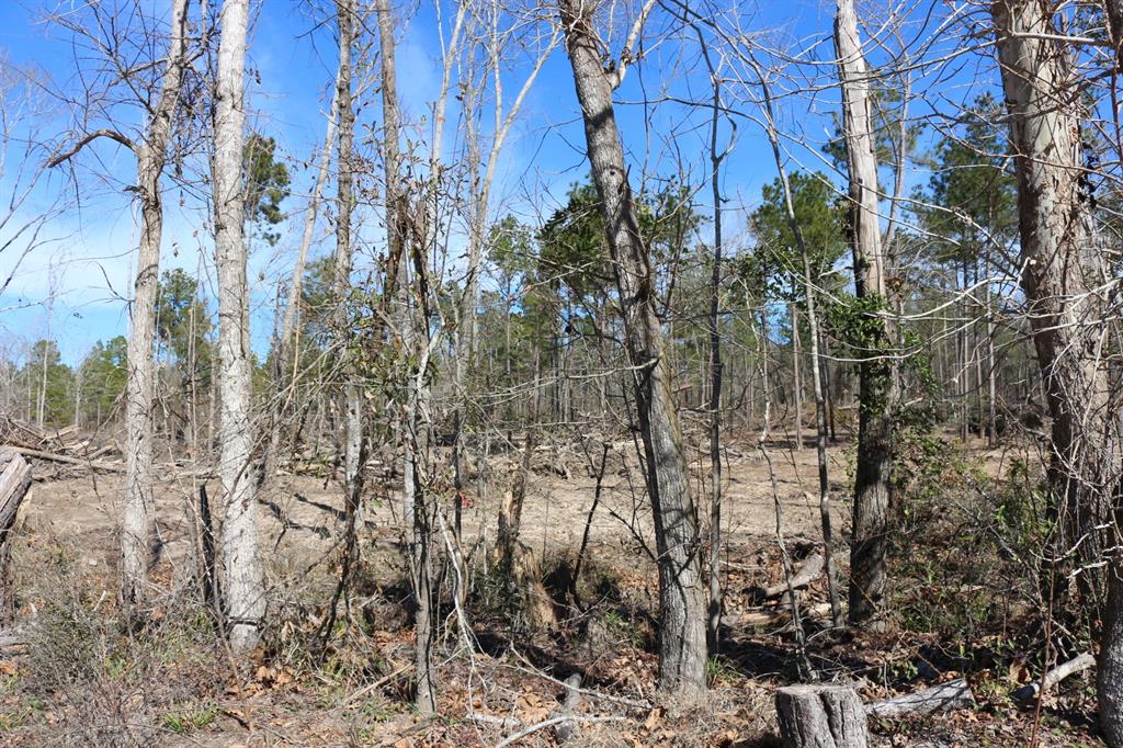 4-1 N Hwy 356, Onalaska, Texas image 9
