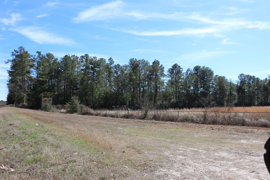 4-1 N Hwy 356, Onalaska, Texas image 8