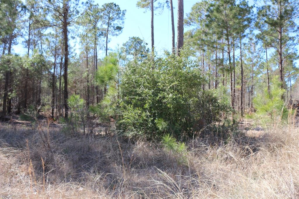 4-1 N Hwy 356, Onalaska, Texas image 43