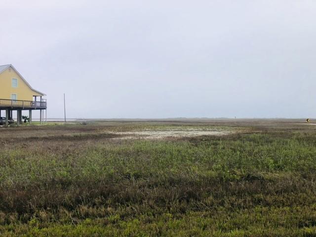 Palm Street, Freeport, Texas image 14