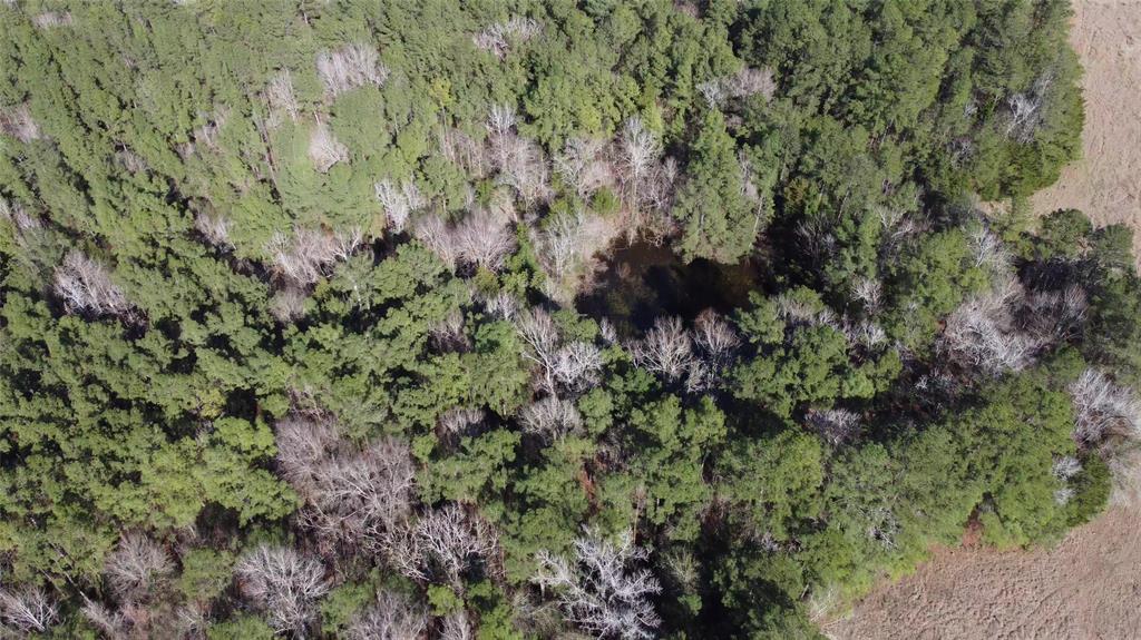 10314 Us Highway 59, Livingston, Texas image 39