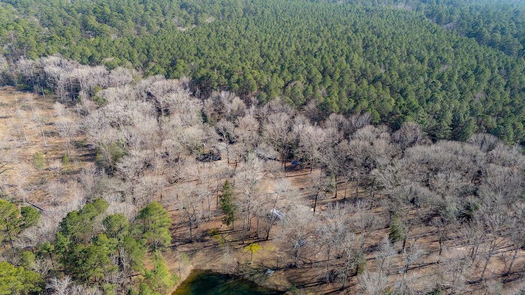 1654 Forest Service Rd 524 Road, Crockett, Texas image 33