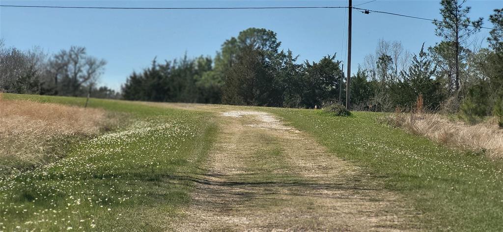 00 Grassy Lane, Coldspring, Texas image 5