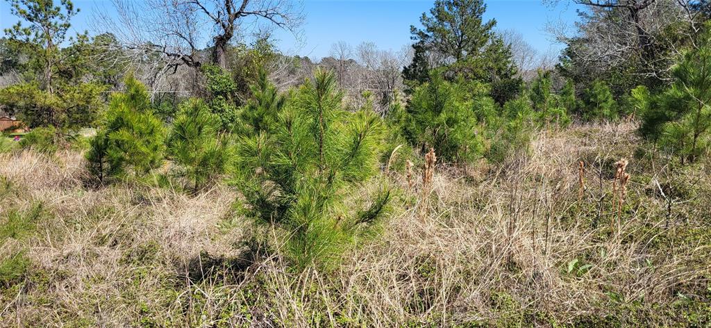 00 Grassy Lane, Coldspring, Texas image 16