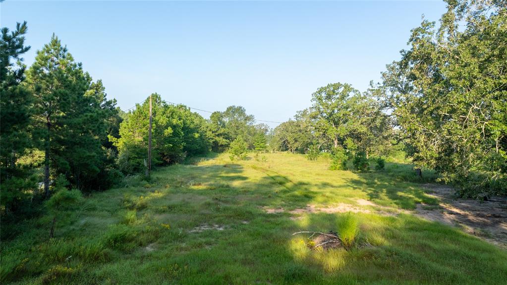 1012 Carter Road, Zavalla, Texas image 23