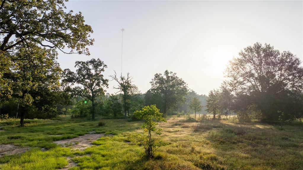 1012 Carter Road, Zavalla, Texas image 16