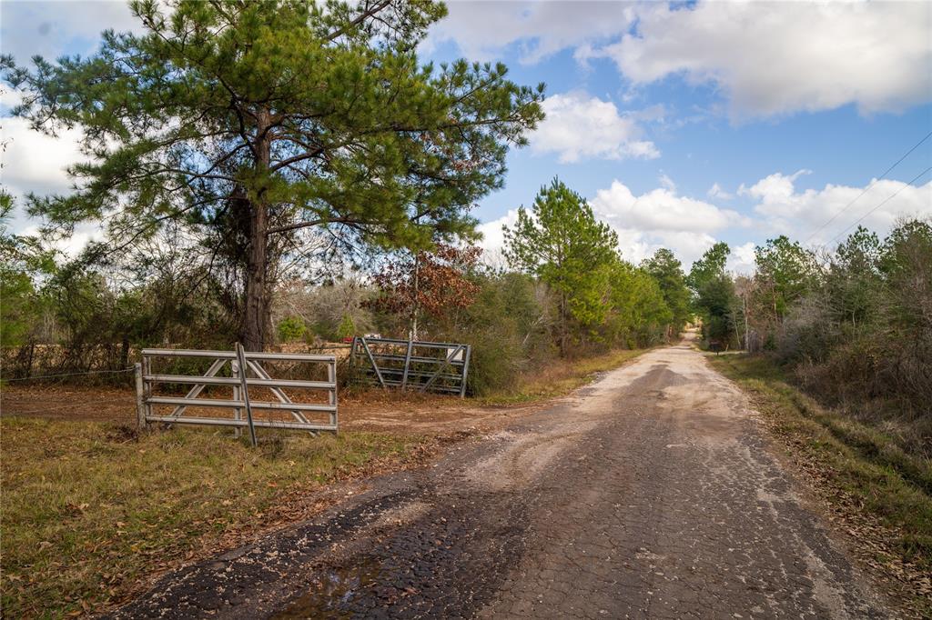 1012 Carter Road, Zavalla, Texas image 15