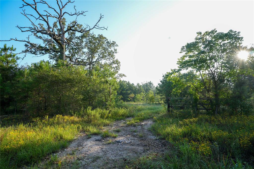 1012 Carter Road, Zavalla, Texas image 27