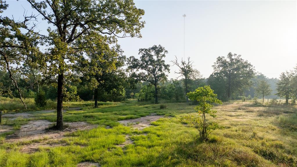 1012 Carter Road, Zavalla, Texas image 1