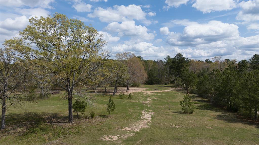 1012 Carter Road, Zavalla, Texas image 10