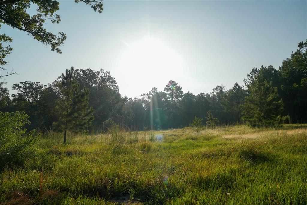 1012 Carter Road, Zavalla, Texas image 6