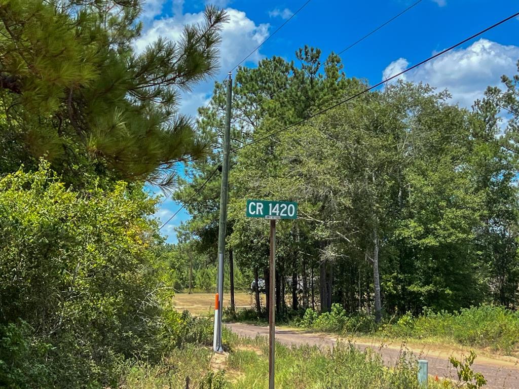 County Road 1420, Warren, Texas image 11