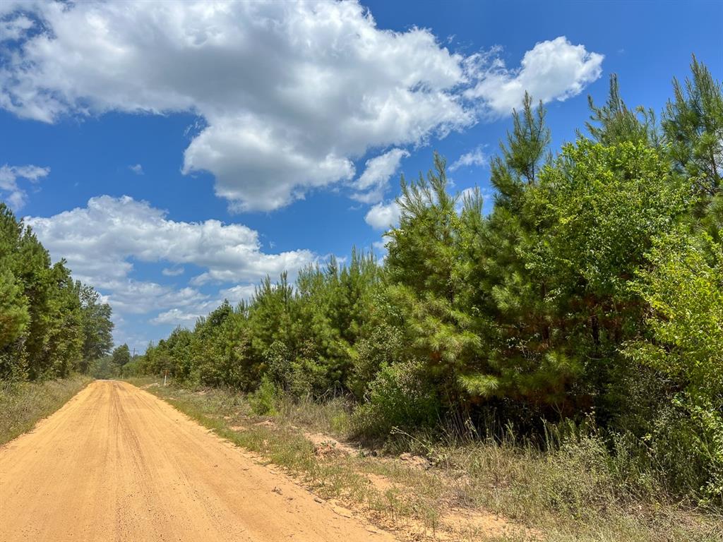 County Road 1420, Warren, Texas image 13