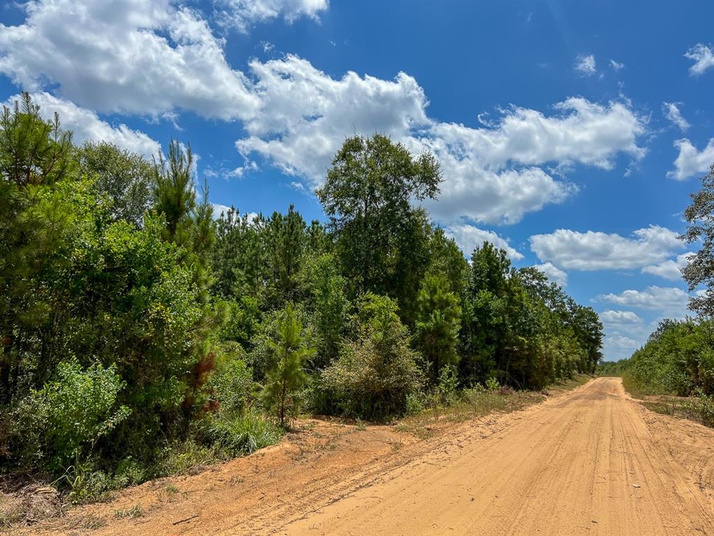 County Road 1420, Warren, Texas image 14