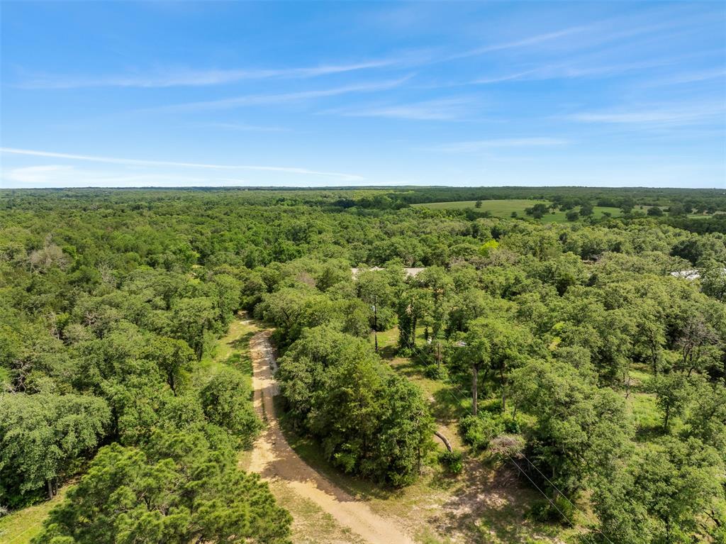3205 County Road 308, Caldwell, Texas image 38